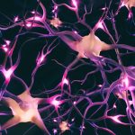 Est-ce que le CBD attaque les neurones ?