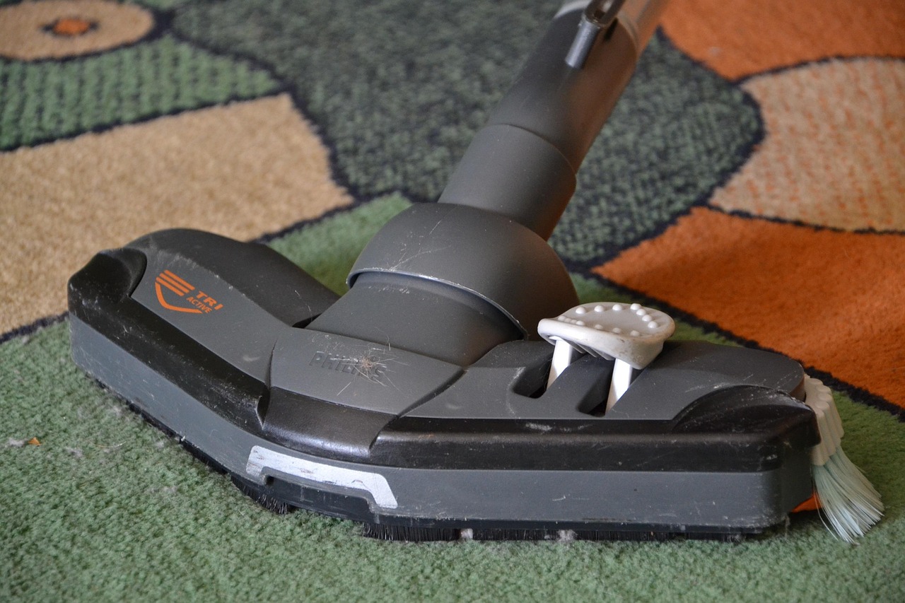 Brosse d aspirateur posee sur une moquette