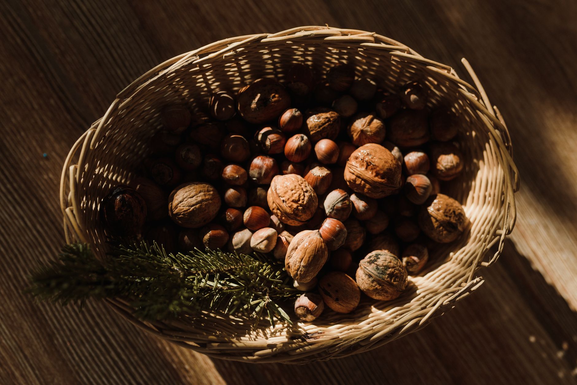 Récolte et conservation des noix et noisettes : un guide pratique