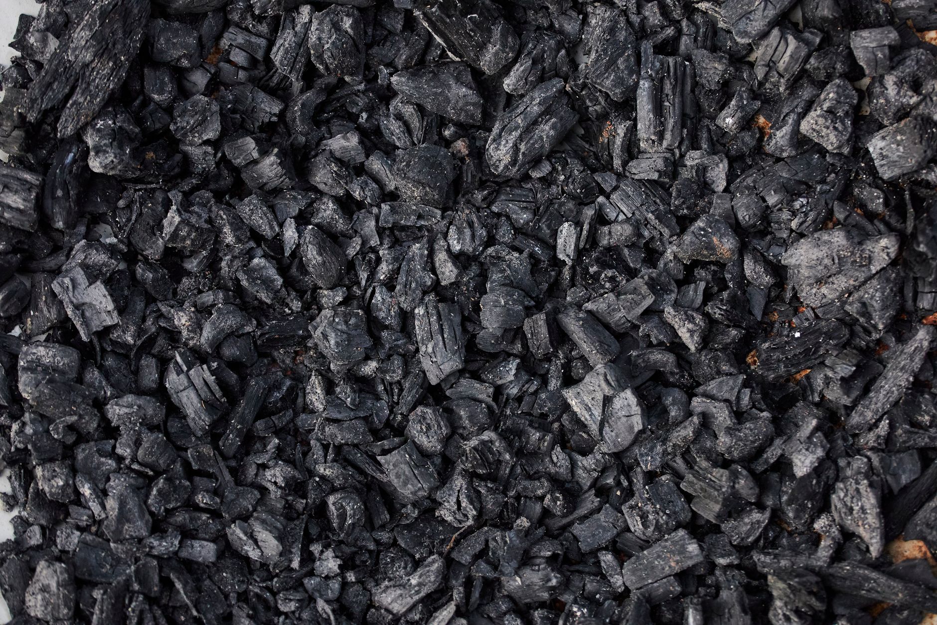 Améliorer votre sol cet automne : biochar ou compost mûr ?