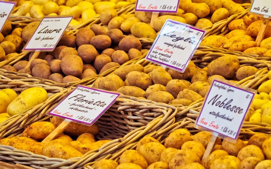 Cuisine économique : manger mieux avec un petit budget