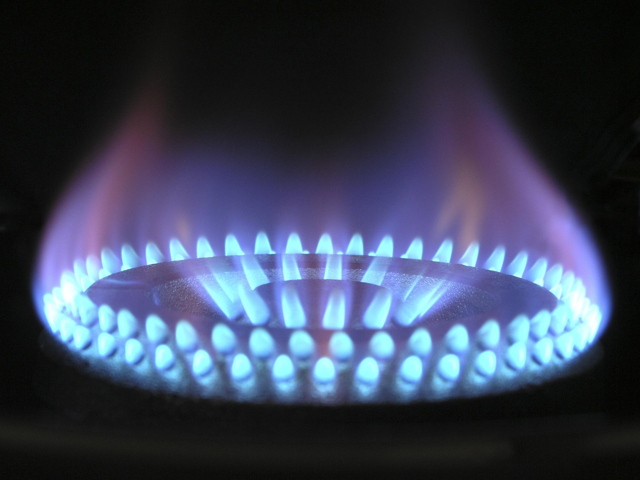 Flamme bleue d'un brûleur de cuisinière à gaz, gros plan