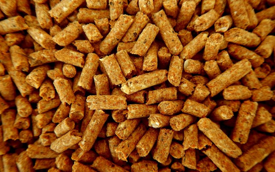 Pellets de bois : comment éviter la hausse des prix cet hiver ?