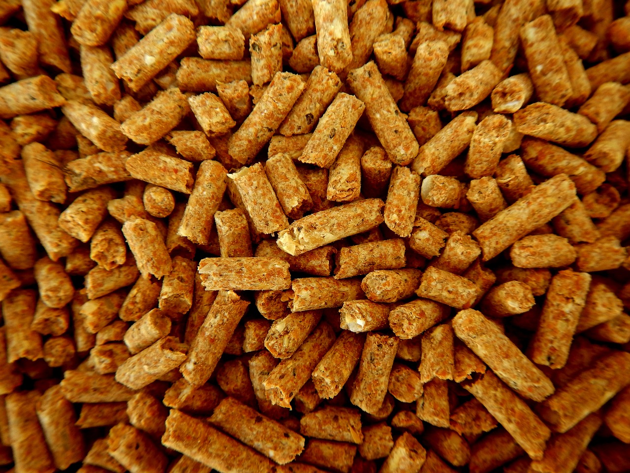 Tas de granulés de bois en vrac, vue rapprochée
