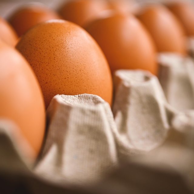 Le logo « Bien-être animal » : un simple affichage ou une réelle avancée pour les poulets ?