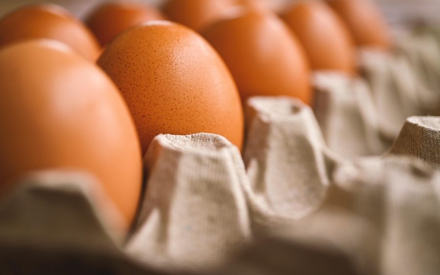 Le logo « Bien-être animal » : un simple affichage ou une réelle avancée pour les poulets ?