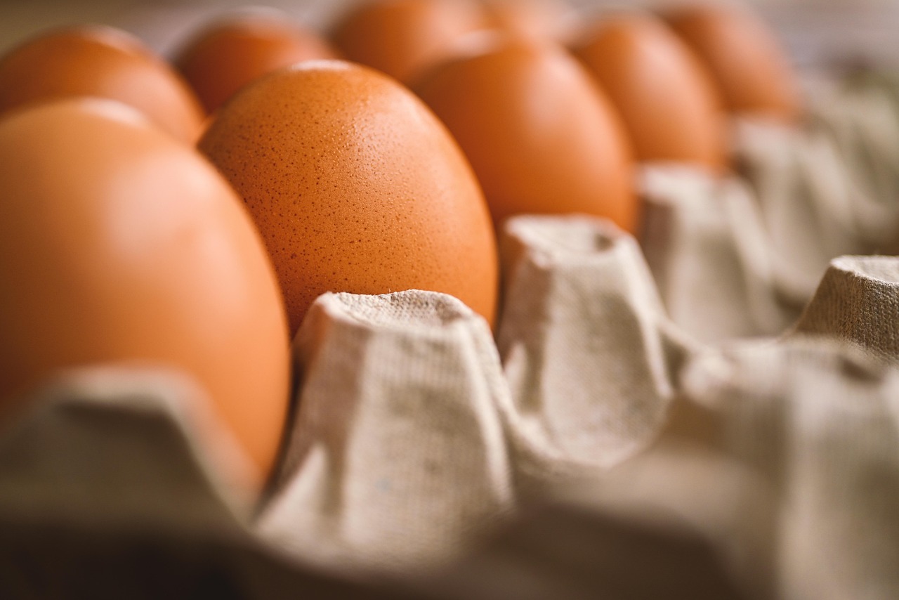 Oeufs bruns ranges dans une boite en carton