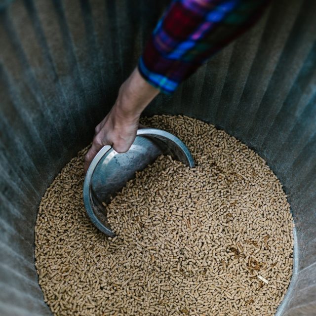 Dès cet hiver, préparez-vous à payer plus pour vos pellets de bois