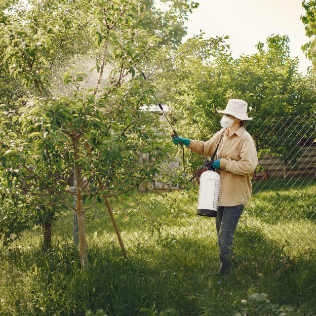 Pesticides et santé : Comprendre les impacts et les options d&rsquo;indemnisation