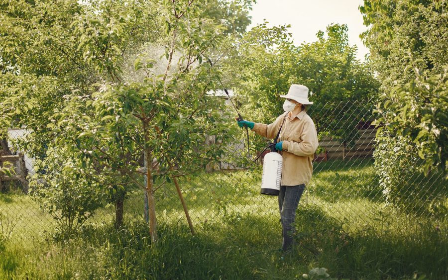 Pesticides et santé : Comprendre les impacts et les options d’indemnisation