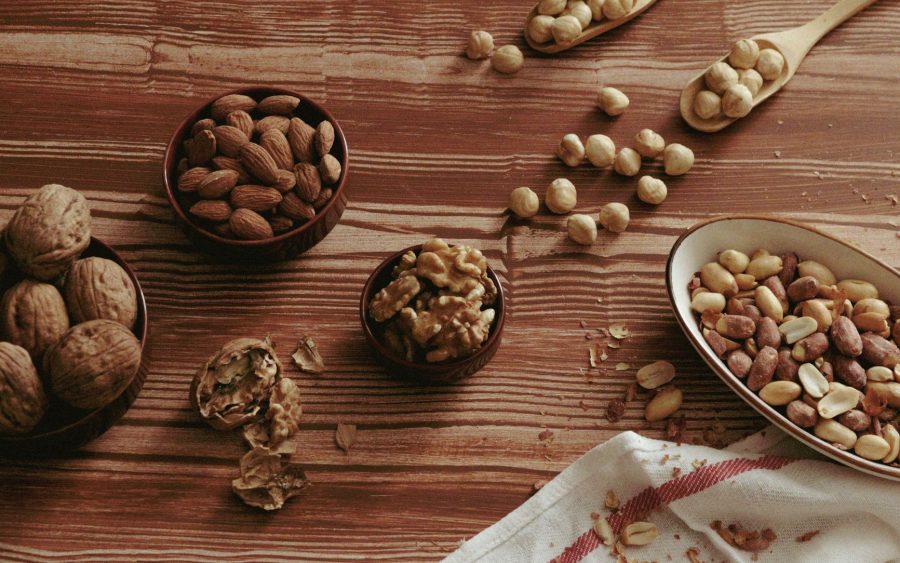 Récolte et conservation des noix et noisettes : un guide pratique