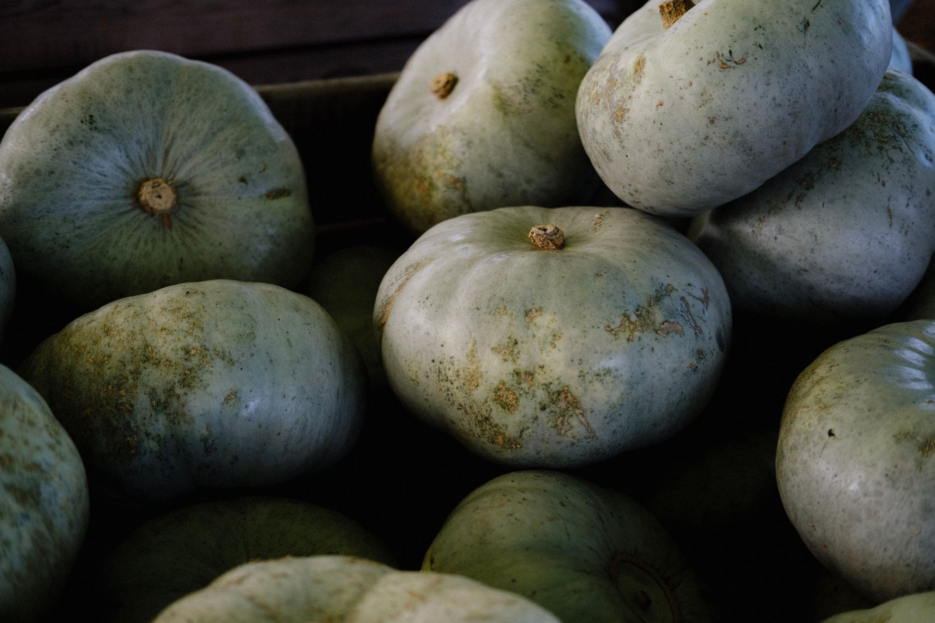 Comment éviter que vos fruits et légumes de saison ne se perdent ? Voici la solution