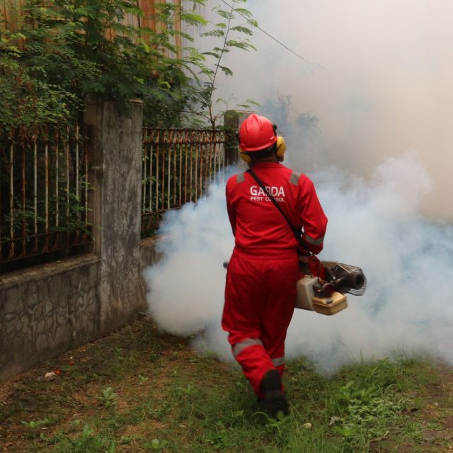 Les composants inertes des pesticides : un risque sous-estimé pour la santé ?