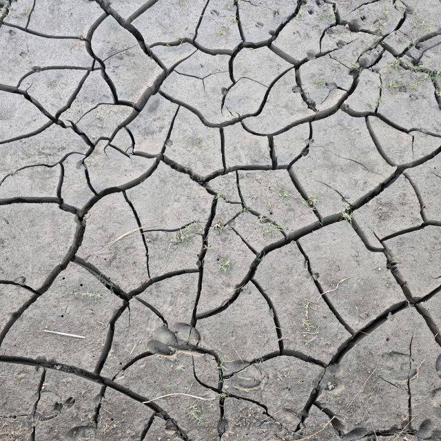 El Niño 2026 : un bouleversement climatique qui va changer votre quotidien