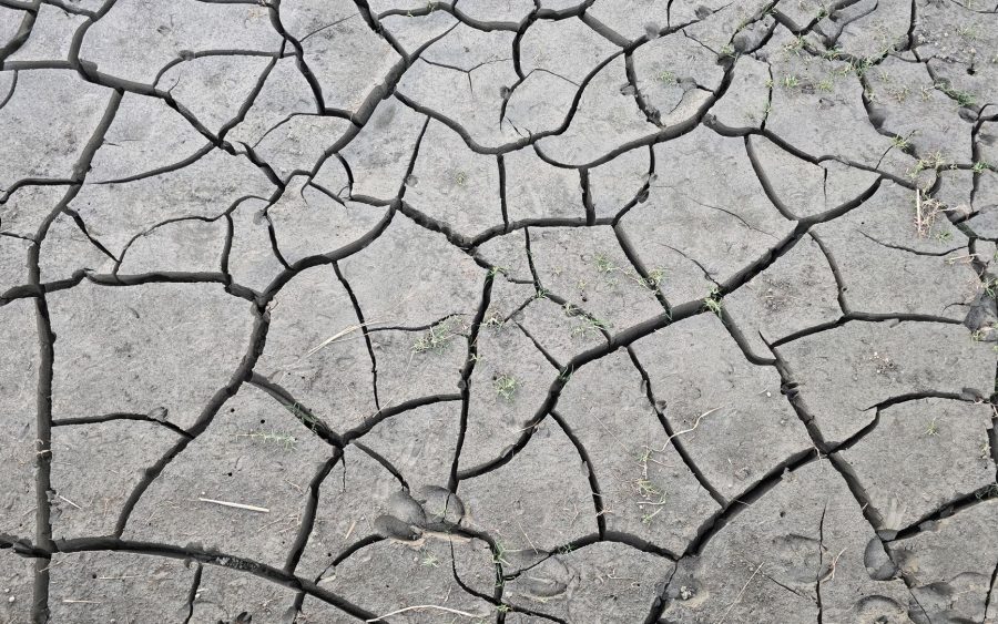El Niño 2026 : un bouleversement climatique qui va changer votre quotidien