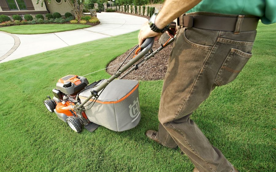 Dès le printemps, sauvez votre pelouse avec cette technique simple